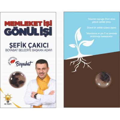 KARIŞIK KIR ÇİÇEĞİ TOHUMLARI